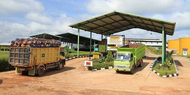 PEFINDO Naikkan Peringkat DSNG dan Obligasi yang Masih Beredar