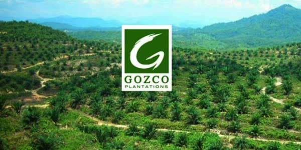 Gozco Plantation Restrukturisasi Dua Anak Perusahaan