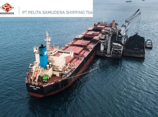 PSSI Catat Kenaikan Laba 100% Tahun 2018