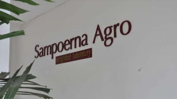 Laba SGRO Di Kuartal I 2020 Susut 88%