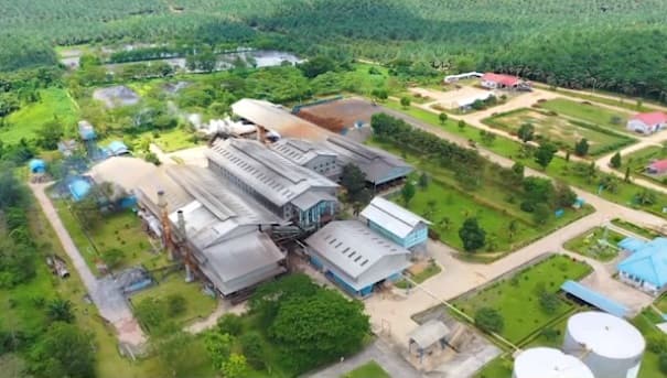 TLDN Gandeng Posco International Bangun Pabrik Hilirisasi Minyak Sawit