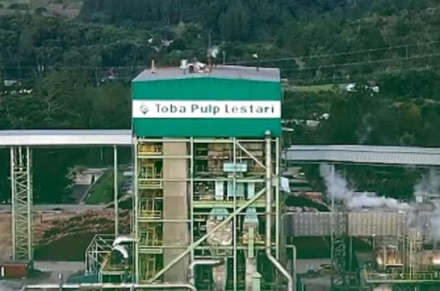 Kehabisan Kayu, INRU Hentikan Produksi Bubur Kertas