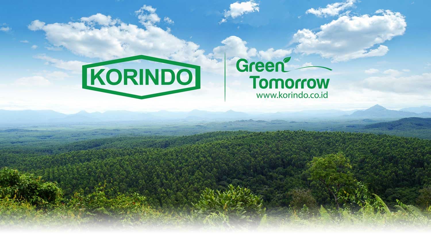 Korindo Kembangkan Perkebunan Sawit Ramah Lingkungan di Boven Digoel