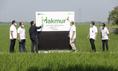 Realisasi Program Makmur Pupuk Indonesia Capai 140 Ha Dari Target 250 Ha