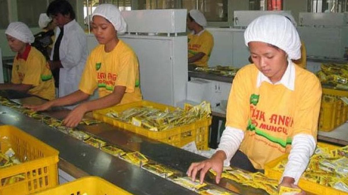 Laba SIDO Turun 12 Persen Pada Tahun 2022