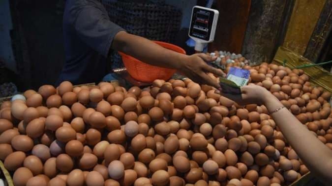 Peternak dan Pedagang Diminta Jual Telur Ayam Sesuai HAP