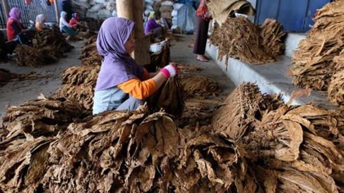 Pemerintah Diminta Lindungi Ritel Dari Kebijakan Tembakau Yang Menekan