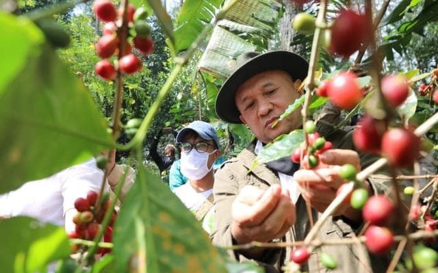 Menkop UKM Dorong Pelatihan SDM Vokasional Kopi