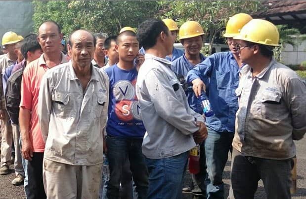 Pemerintah Buka Suara Terkait 500 TKA Asal China di Sulawesi Tenggara