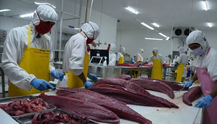 KKP Terus Tingkatkan Ekspor Perikanan ke Taiwan dan Korsel Lewat 33 UPI