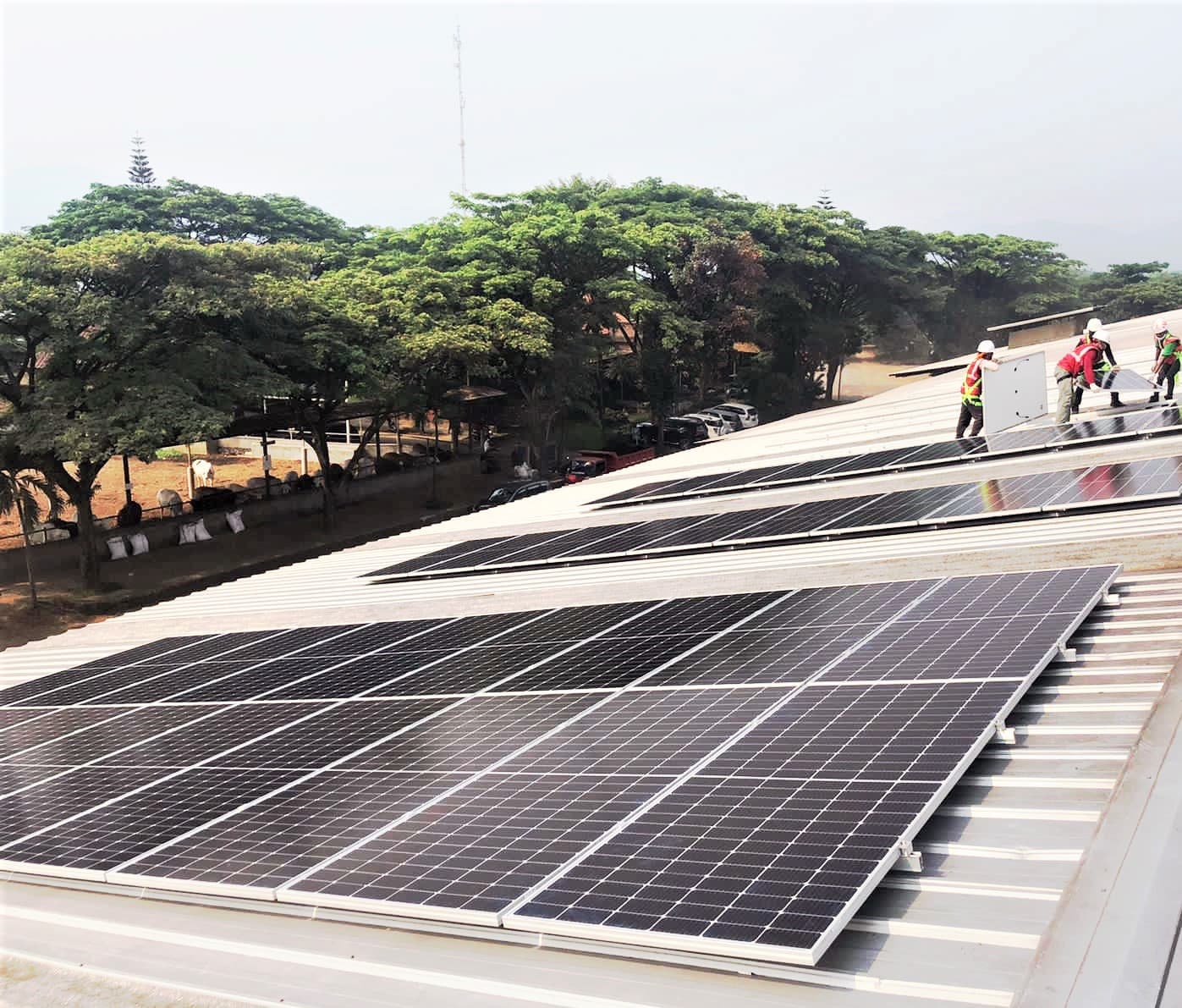 Terapkan Ekonomi Berkerlanjutan, Widodo Makmur Perkasa Pasang Panel Surya 158 MWp