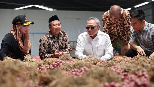 Lepas Ekspor Bawang Merah ke Thailand, Zulhas : Kebutuhan Dalam Negeri Aman