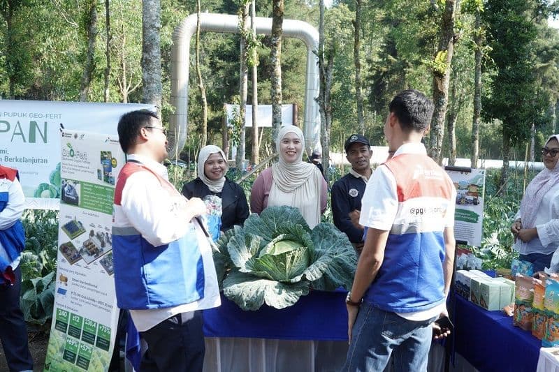 Panas Bumi Kamojang Berbuah 70 Ton Kubis, Petani Hemat Rp20 Juta
