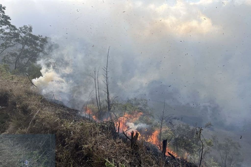 Semua Akses Wisata di Kawasan Bromo Ditutup Imbas Kebakaran