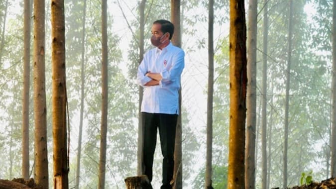 Undang Investor Masuk IKN, Presiden Jokowi Resmi Teken PP 12/2023
