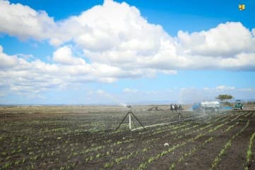 Kementerian PUPR Sediakan Pasokan Air untuk Lahan Sorgum di Sumba Timur