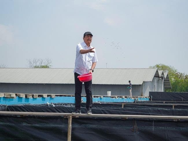 Terbengkalai Sejak 1984, Menteri Trenggono Bangun Tempat Budidaya Ikan Nila Salin Seluas 80 Hektare