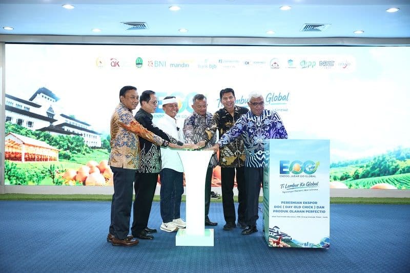 OJK Bidik Pembiayaan Rp456,5 Miliar untuk 4.565 Peternak Ayam Jabar