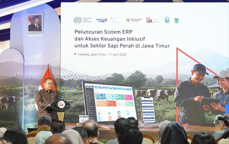 Didukung Swiss dan ILO, OJK Luncurkan Sistem Digital yang Bisa Buka Akses Kredit Bagi Ribuan Peternak Sapi Perah
