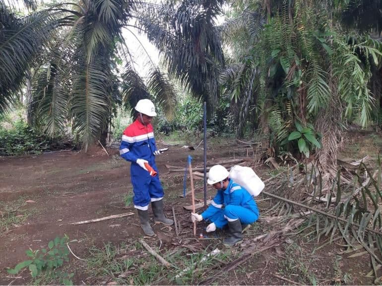 Pasar Non-Captive Makin Menggeliat, Elnusa Raih Dua Proyek Seismik 3D di Sumsel