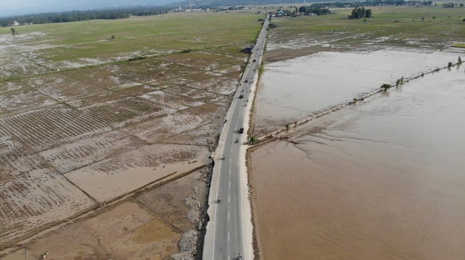 Kementan Gerak Cepat Pulihkan Persawahan Terdampak Banjir Sumatra